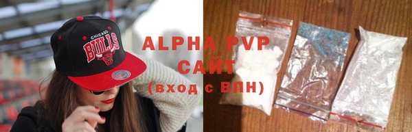 гашик Нефтекумск