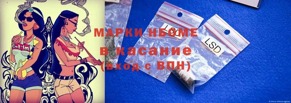 гашик Нефтекумск