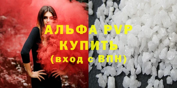 гашик Нефтекумск