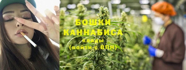 гашик Нефтекумск