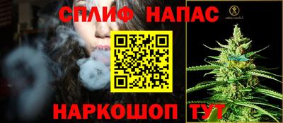 СК Донской