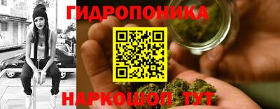 СК Донской