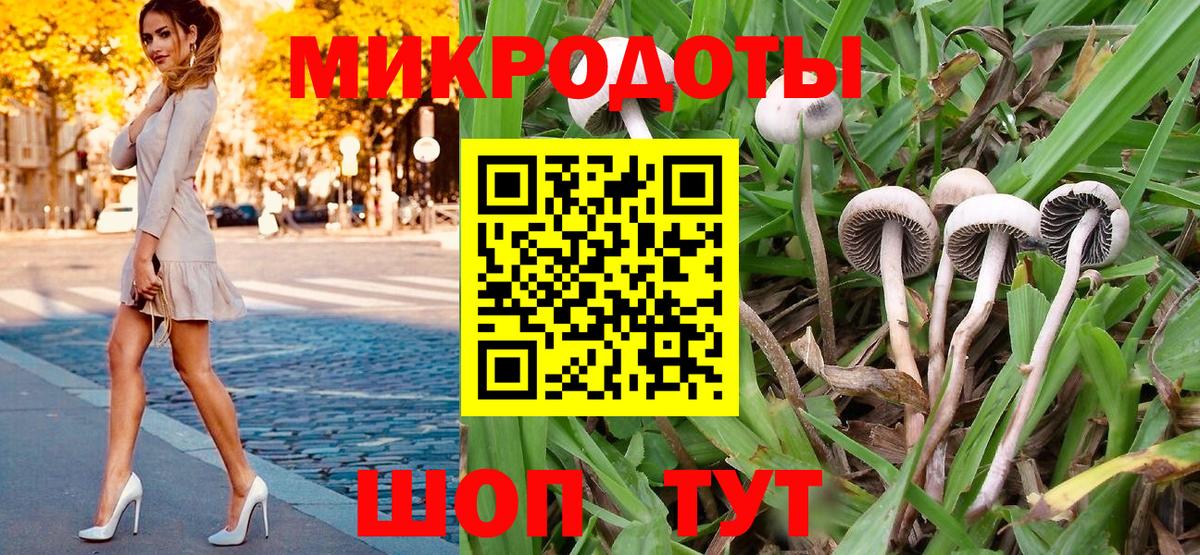 Кумертау  Псилоцибиновые грибы прущие грибы  Галлюциногенные грибы прущие грибы  Вход с VPN 