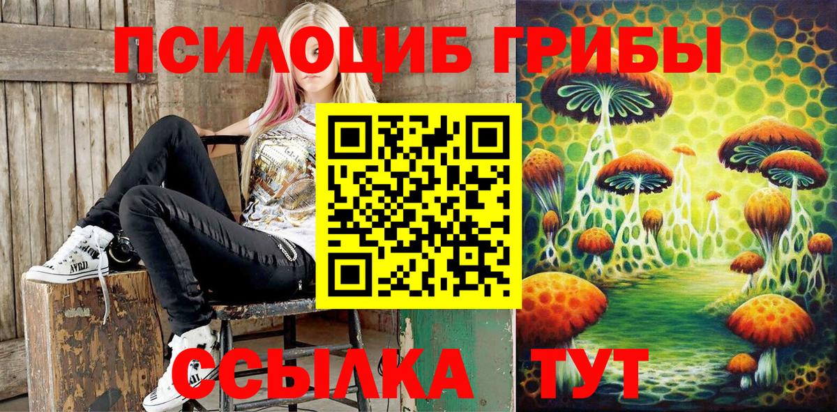 Псилоцибиновые грибы мицелий Кумертау