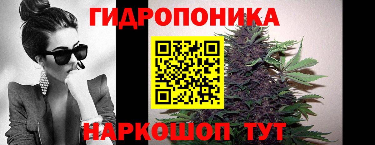 МАРИХУАНА OG Kush Кумертау